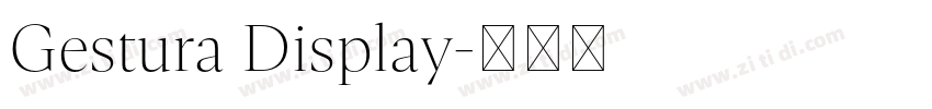 Gestura Display字体转换 Gestura Display字体转换
